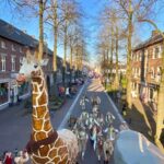 2025 fam Lacroix JUngle1