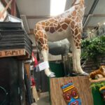 2025 fam Lacroix JUngle5