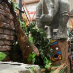 2025 fam Lacroix JUngle6